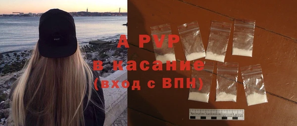 стаф Анжеро-Судженск