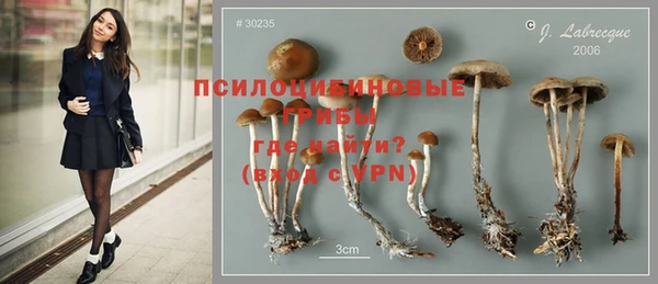 таблы Апатиты