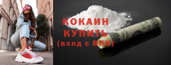 стаф Анжеро-Судженск