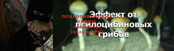 дурь Нефтегорск
