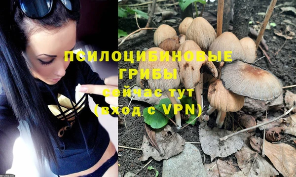 a pvp Ахтубинск