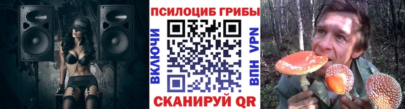Псилоцибиновые грибы Magic Shrooms  купить   Сретенск 