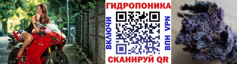 Бошки Шишки OG Kush mega ссылки Сретенск